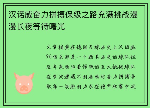 汉诺威奋力拼搏保级之路充满挑战漫漫长夜等待曙光